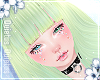 Remi Bamboo | Q