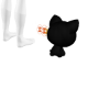 Black Cat Pet