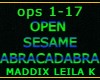 OPEN SESAME ABRACADABRA