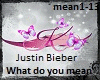 What do you mean