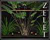 |LZ|Ballroom Plant 2