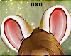 Oxu | Amanita Ears V5