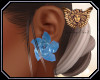 [ang]Sweet Rose Earring