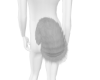 Gray Woff Tail