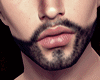 Exclusive Yale Beard I