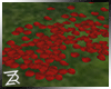 !R Rose Petals