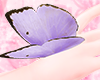 ꕤ Butterfly purple