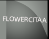 F" Derivable Skin 3