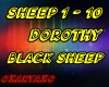 Dorothy Black Sheep