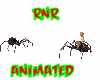~RnR~SPIDER FIGHTERS
