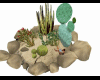 desert cactus bloom pose