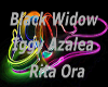 Black Widow Iggy&Ritta