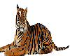 rest tiger