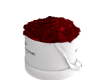 🌹Rose Box R