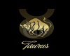 Zodiac Art - Taurus