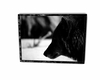 V. Wolf Pic 1