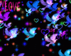 Doves,love effect bundle