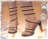 Shoes Black Srass
