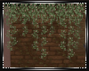 🧚Fairy Wall Vines