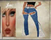 J~BELL BOTTOM JEANS SILV