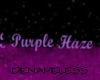 sissy purple haze sign