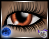 SD Eyes Chestnut
