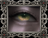 áª sangoon eyes