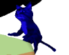 Blue Shoulder Kitty