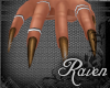 *R* Corset Bronze
