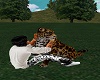 Leopard Love 1