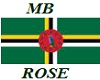 Dominica flag shirt