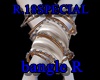 R18SPECIAL.bangle R