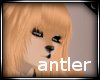 -CINN- Antlers