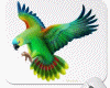 flying parrot bird