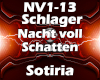 Nacht voll Schatten