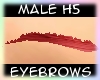 [Male H5] Red Eyebrows