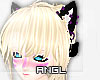 An!Violet-Black Ears cat