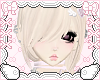 ୨ৎ dolly