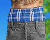 Eco Jeans Shorts 3.3