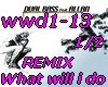 What will i do-REMIX12