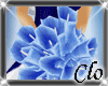 [Clo]Royal Blue Flowers