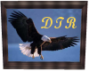 ~DTR~ Eagle Flight