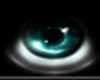 eyes