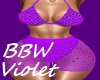 BBW Violet Summer Shorts