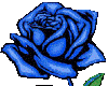 blue glitter rose