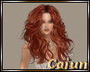 Ginger Cream Camelia