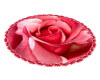 [abi] pink rose rug