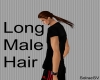 Long Brown Male Hair