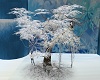 Snowy Swing Tree
