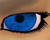 Bright Blue Male Eyes